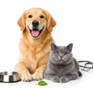 “Healthy dog and cat sitting together on a white background representing overall pet health.”
