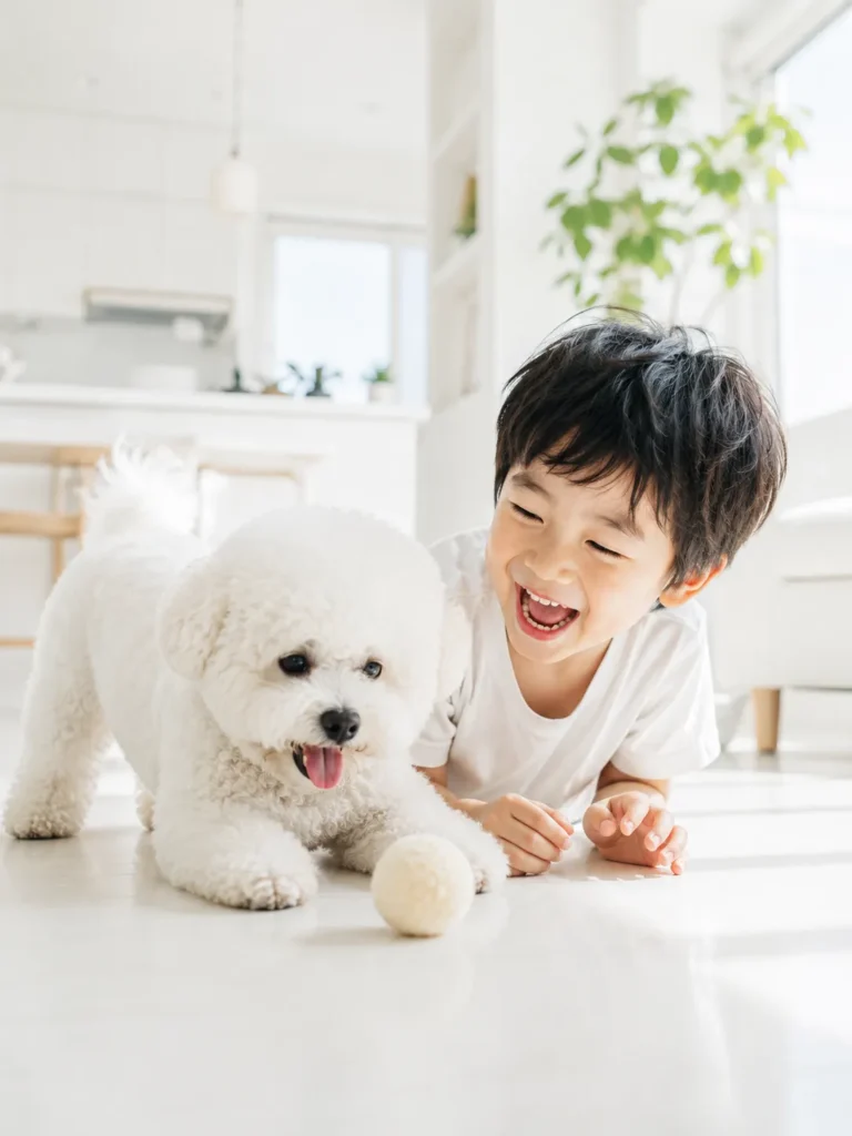  bichon frise playing with kids hypoallergenic family dog